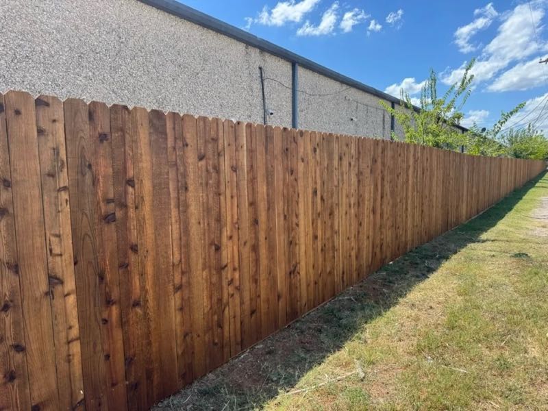Cedar Privacy Fence in Arlington